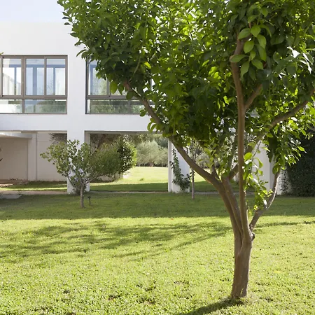 Amalia Olympia Отель 4*